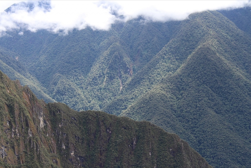 Мачу Пикчу и Каньон Колка. Видео + Фото