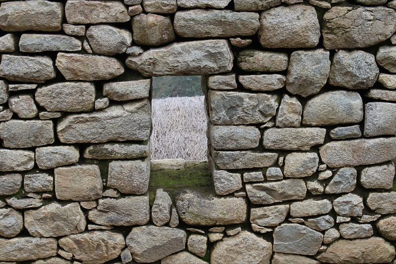 Мачу Пикчу и Каньон Колка. Видео + Фото