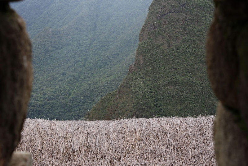 Мачу Пикчу и Каньон Колка. Видео + Фото