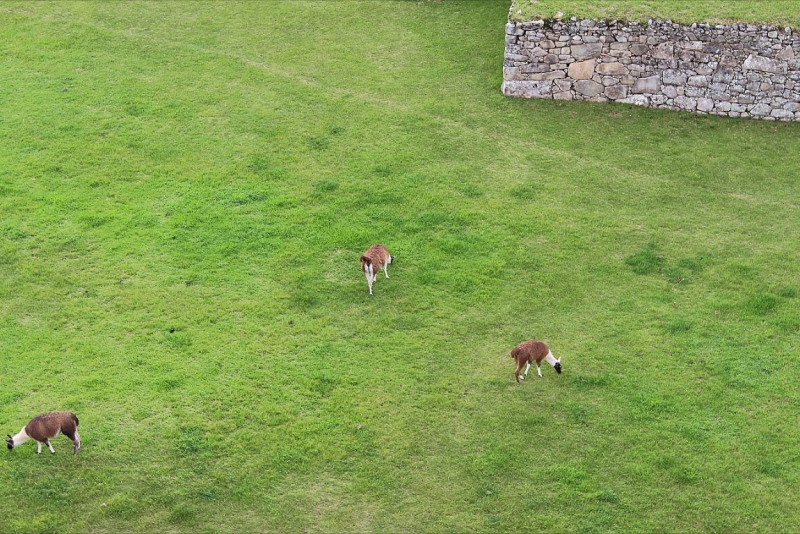Мачу Пикчу и Каньон Колка. Видео + Фото