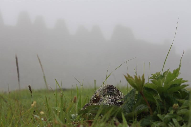 Мачу Пикчу и Каньон Колка. Видео + Фото