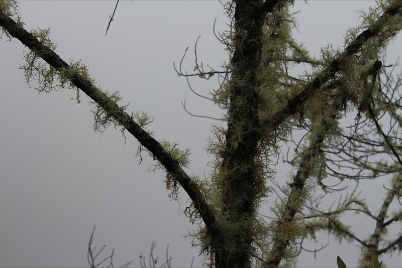 Мачу Пикчу и Каньон Колка. Видео + Фото