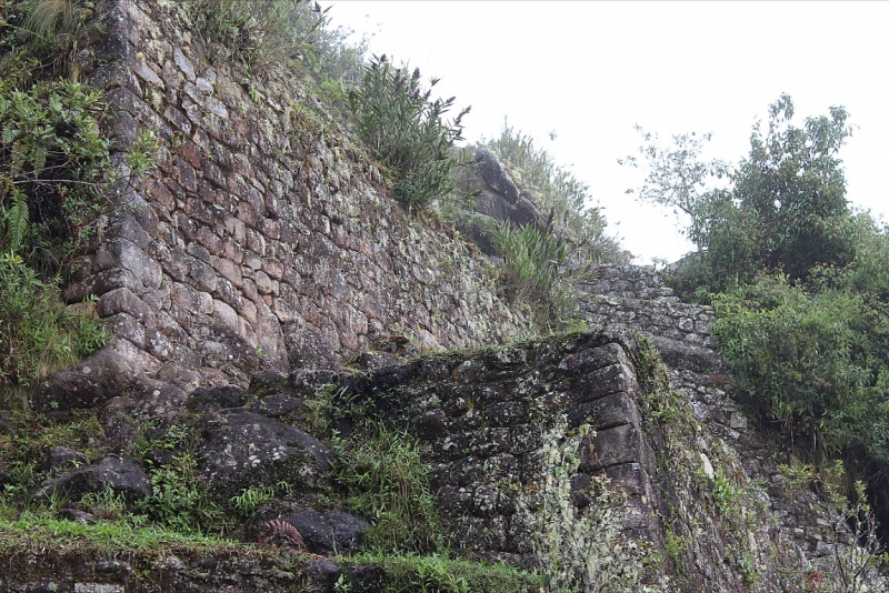 Мачу Пикчу и Каньон Колка. Видео + Фото