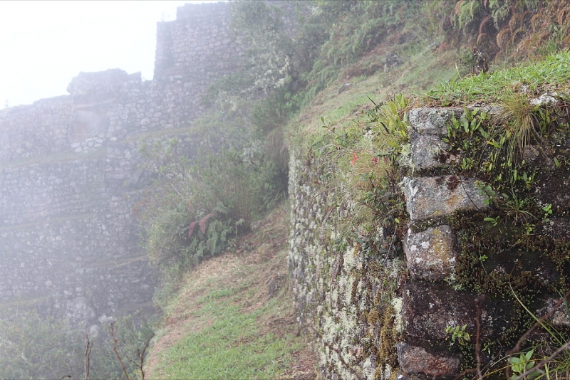 Мачу Пикчу и Каньон Колка. Видео + Фото