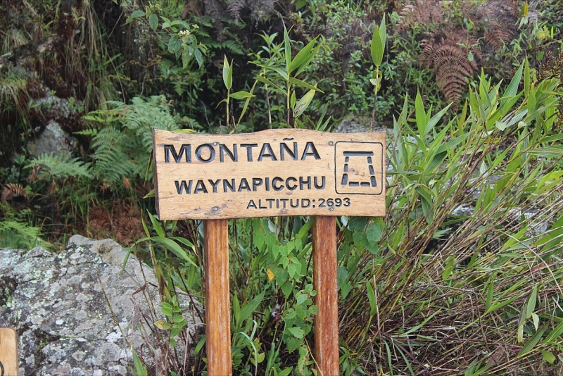 Мачу Пикчу и Каньон Колка. Видео + Фото