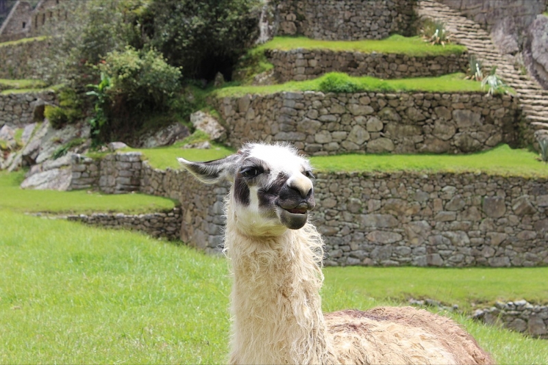 Мачу Пикчу и Каньон Колка. Видео + Фото