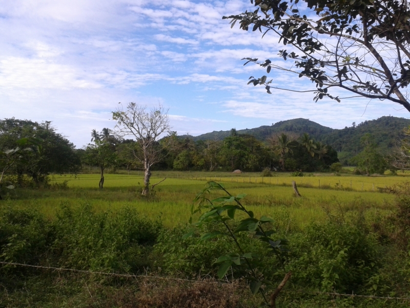 Филиппины февраль 2014: Гонконг-Эль-нидо - Бохол - Боракай