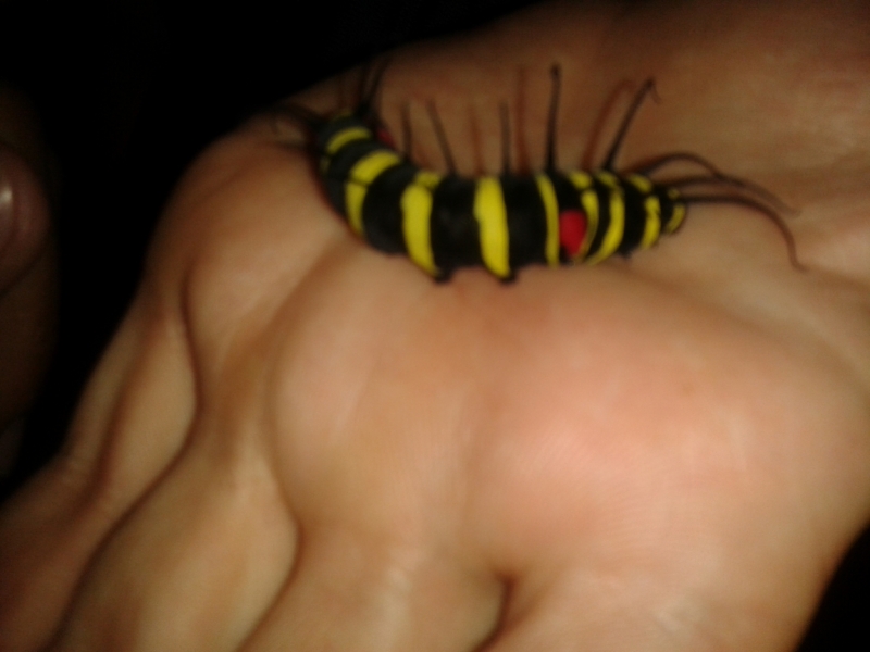 Филиппины февраль 2014: Гонконг-Эль-нидо - Бохол - Боракай