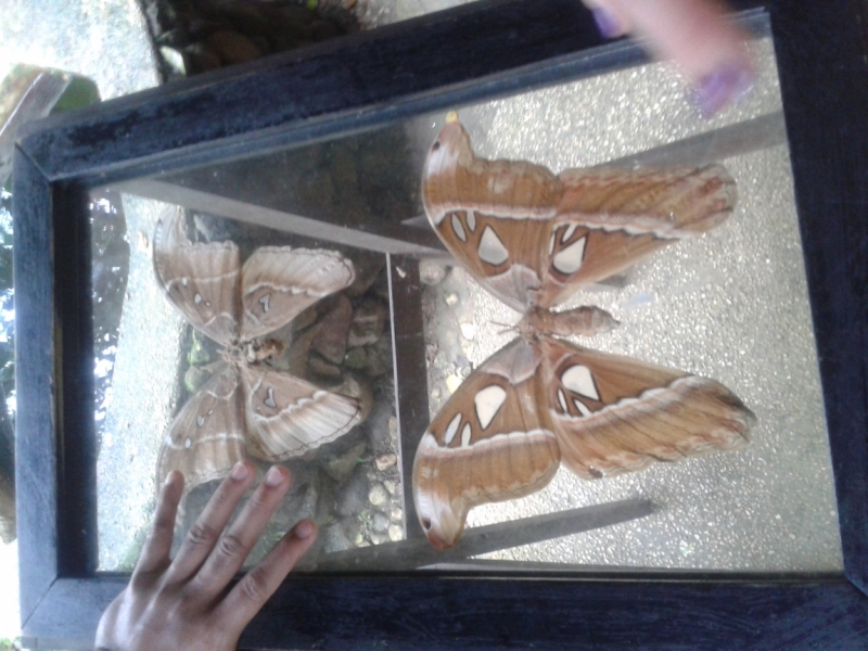 Филиппины февраль 2014: Гонконг-Эль-нидо - Бохол - Боракай