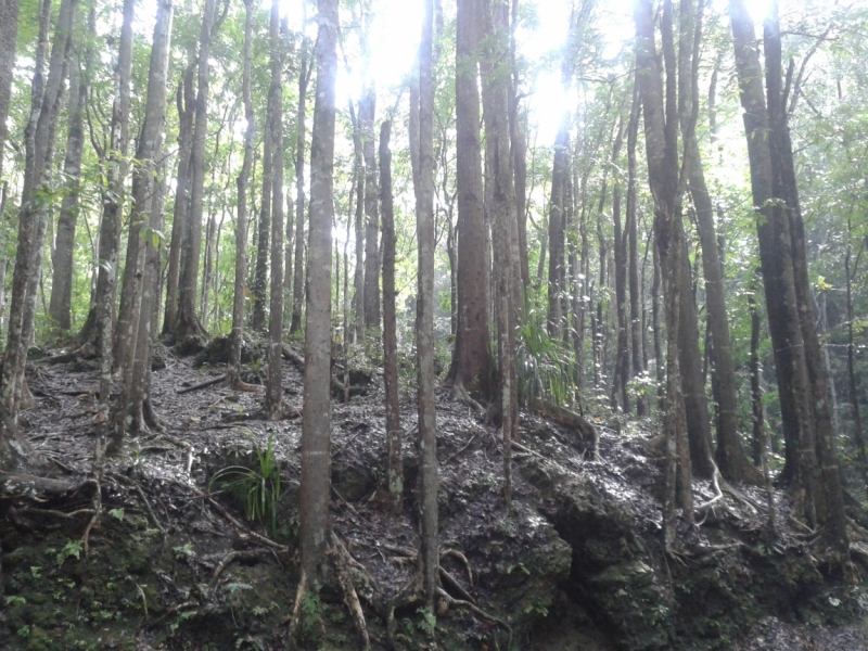 Филиппины февраль 2014: Гонконг-Эль-нидо - Бохол - Боракай