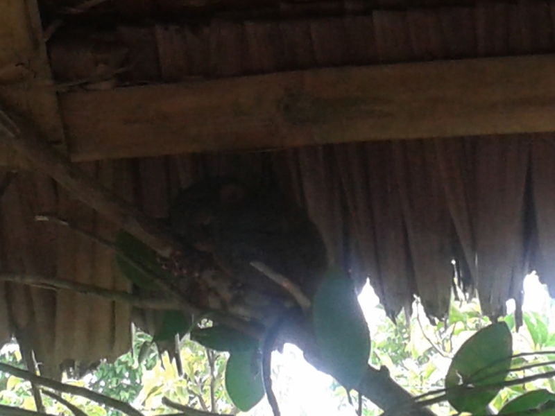 Филиппины февраль 2014: Гонконг-Эль-нидо - Бохол - Боракай