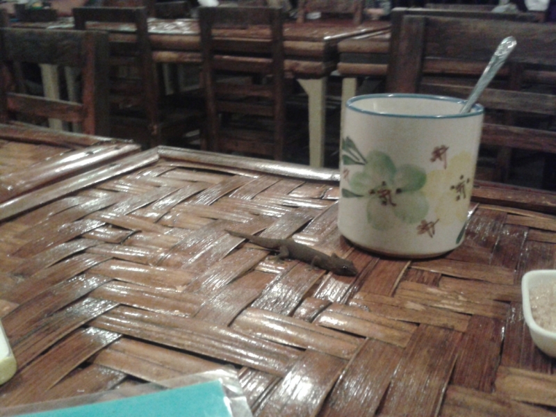 Филиппины февраль 2014: Гонконг-Эль-нидо - Бохол - Боракай