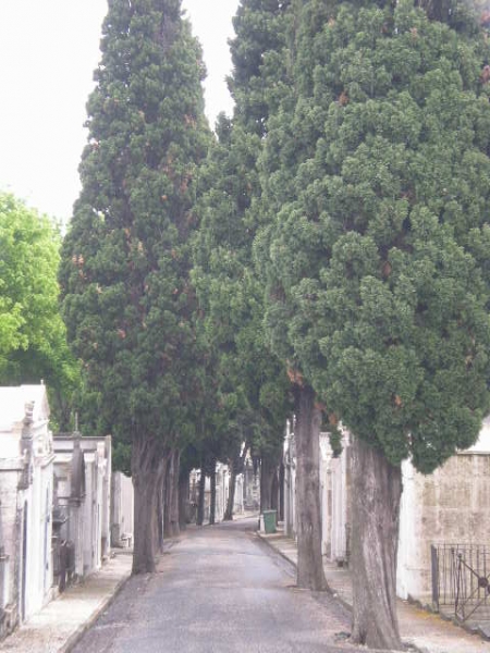 Майские праздники в Португалии. Бюджетно.