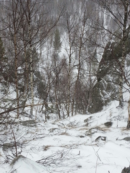 Из ада в рай. Южный Урал.