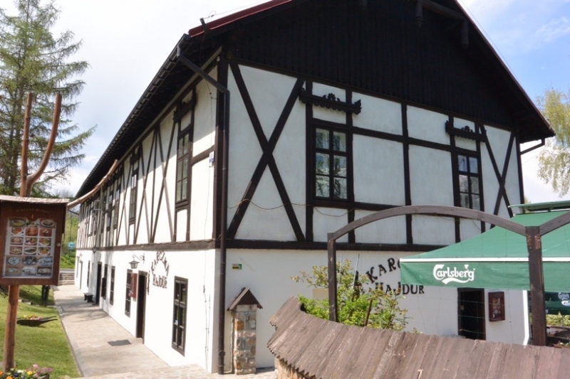 Замок Недзица (Дунаец)