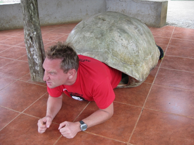 Фотозагадки - 2015