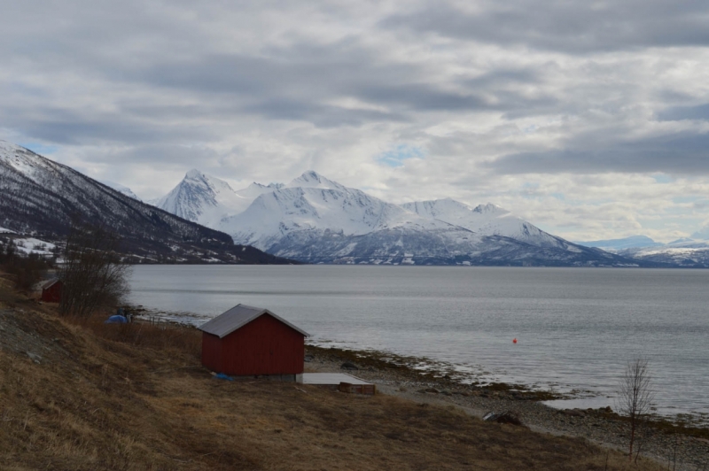 Скитур в Норвегии. Lyngen 2015