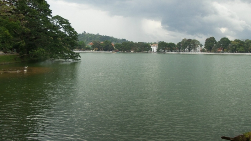 Цейлон или когда утро начинается не с кофе