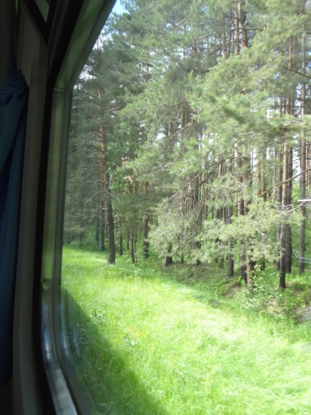 3 дня в Ярославле, 12-14 июня 2015