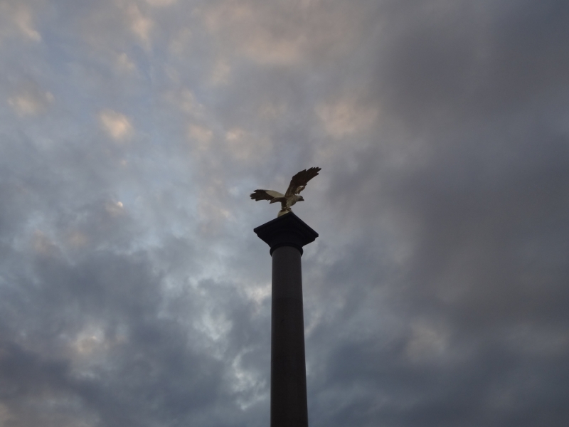 3 дня в Ярославле, 12-14 июня 2015