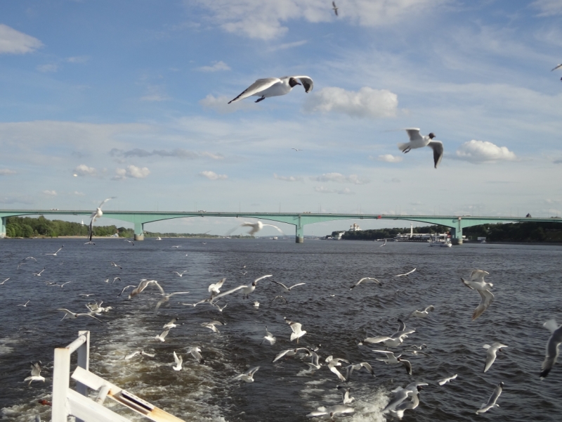 3 дня в Ярославле, 12-14 июня 2015