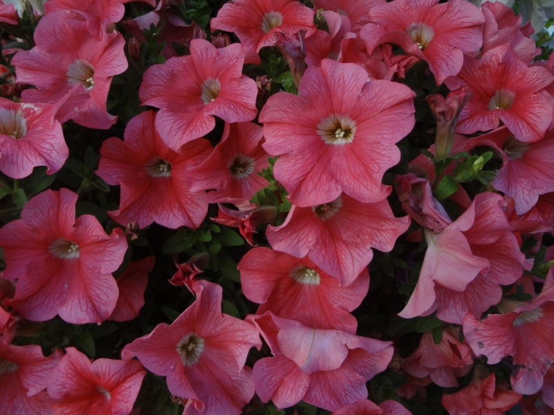 3 дня в Ярославле, 12-14 июня 2015