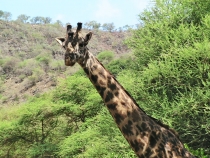 Лицом к людям