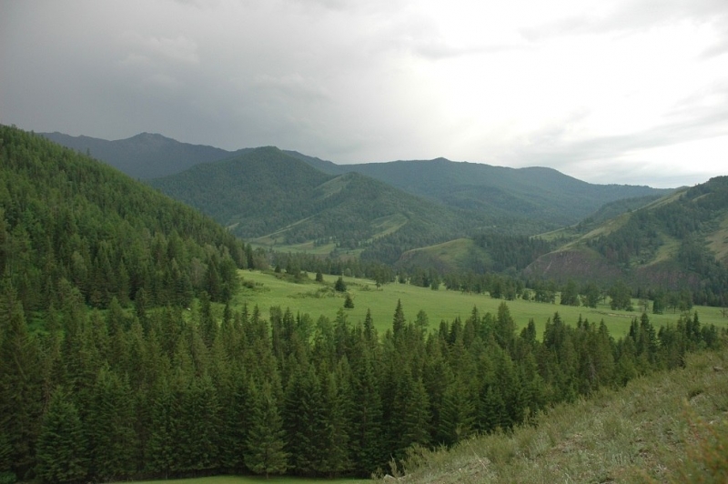 Легенды Горного Алтая (на лошадях к подножью Белухи в июле)