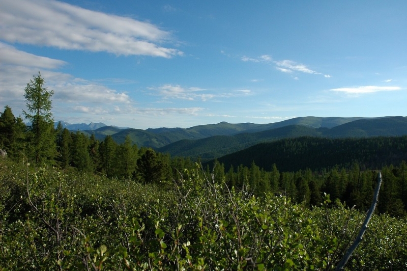 Легенды Горного Алтая (на лошадях к подножью Белухи в июле)