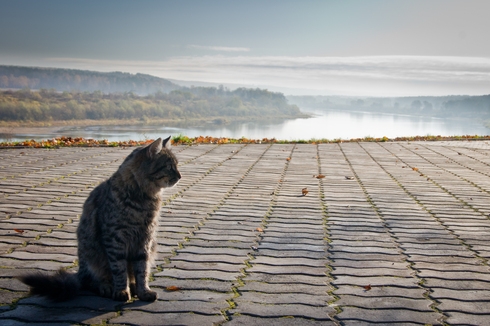 Осенний день в Тарусе