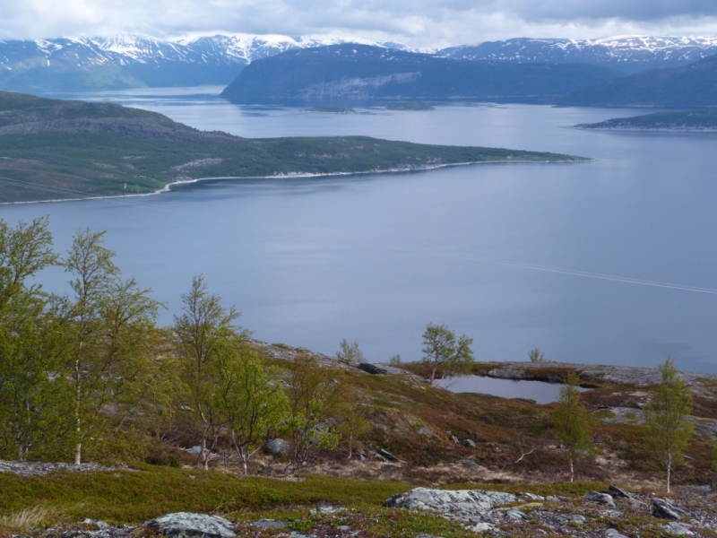 Скандинавские сезоны - июнь 2014 (Швеция - Норвегия до Нордкапа - финская Лапландия)