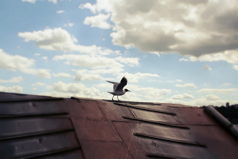 НИЖНИЙ НОВГОРОД - источник вдохновения или кто волшебник Изумрудного города