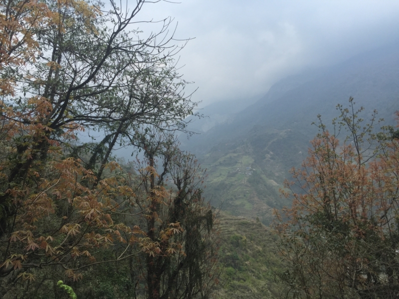 Поход офисной девочки, или Как я дошла до Аннапурны