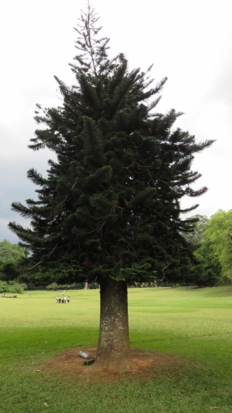 Личный взгляд Шри Ланка 2015