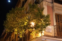 DSC04903 - копия.JPG