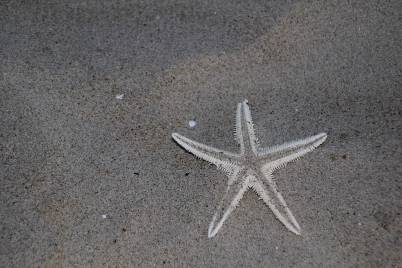 Вьетнам. Центральный и северный. Восемь четыре два