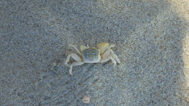 Вьетнам. Центральный и северный. Восемь четыре два