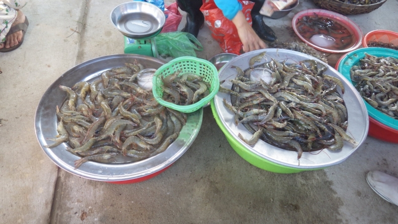 Вьетнам. Центральный и северный. Восемь четыре два