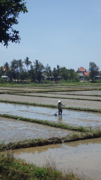 Вьетнам. Центральный и северный. Восемь четыре два