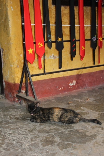 Вьетнам. Центральный и северный. Восемь четыре два