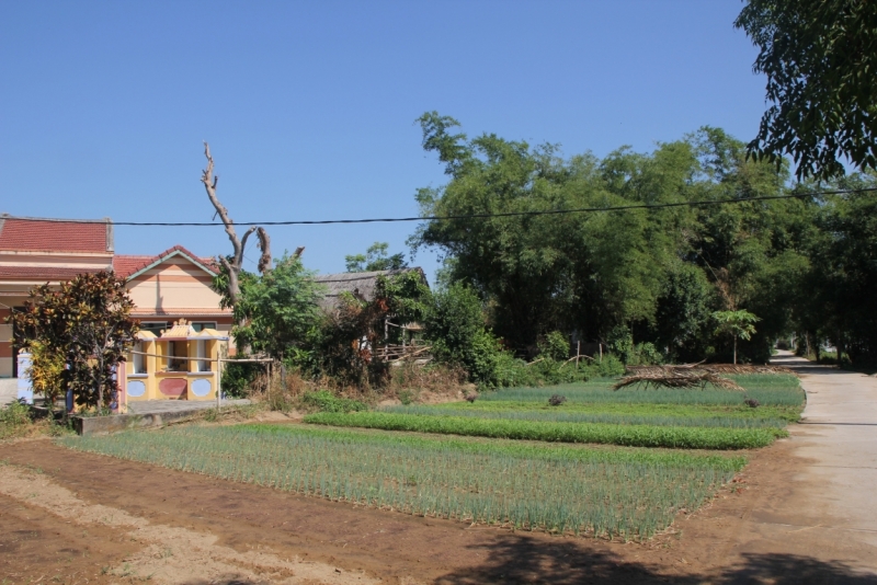 Вьетнам. Центральный и северный. Восемь четыре два