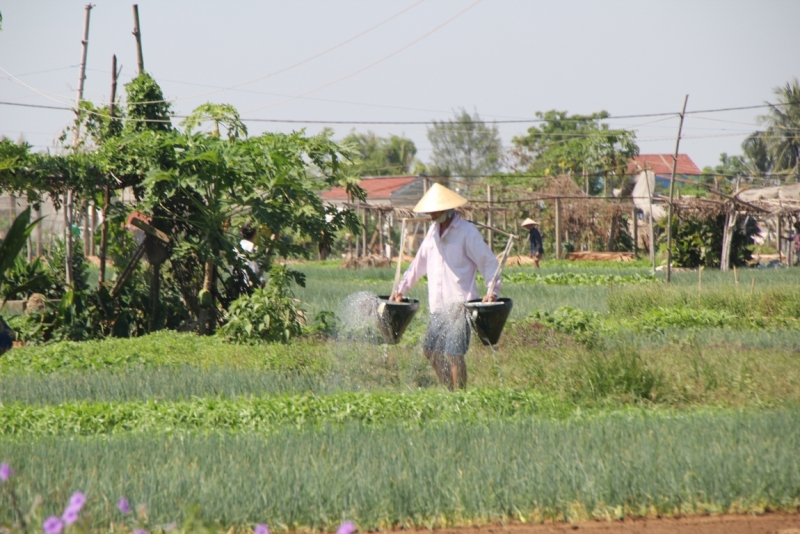 Вьетнам. Центральный и северный. Восемь четыре два