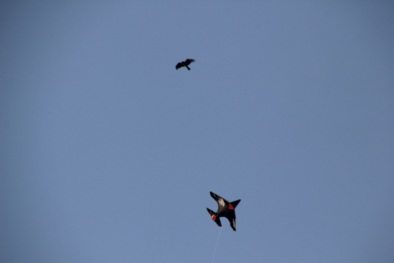 Вьетнам. Центральный и северный. Восемь четыре два