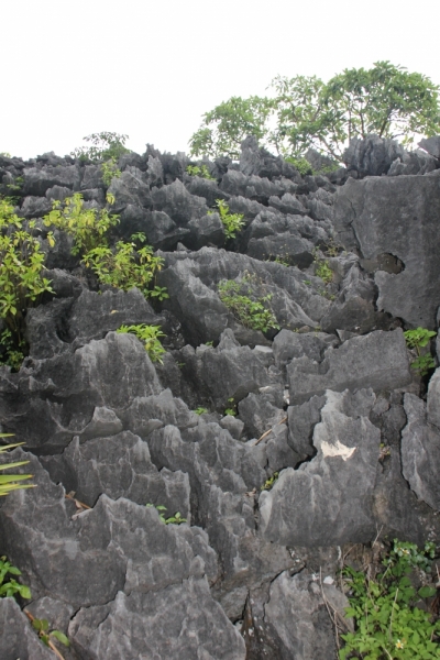 Вьетнам. Центральный и северный. Восемь четыре два