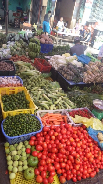 Вьетнам. Центральный и северный. Восемь четыре два