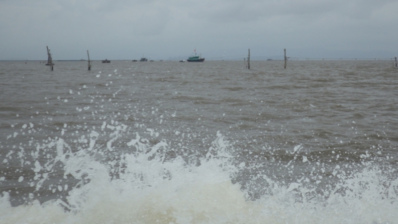 Вьетнам. Центральный и северный. Восемь четыре два