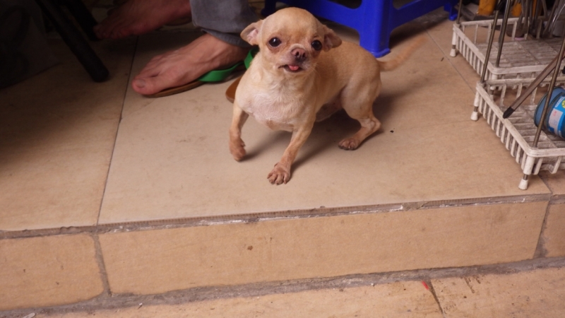 Вьетнам. Центральный и северный. Восемь четыре два