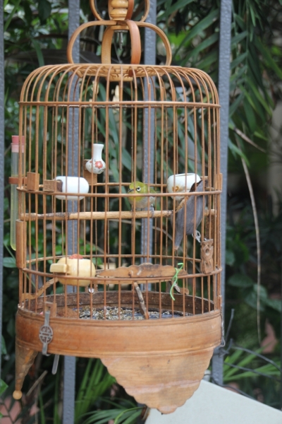 Вьетнам. Центральный и северный. Восемь четыре два