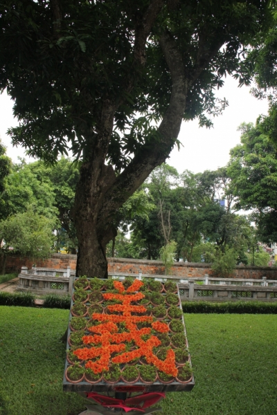 Вьетнам. Центральный и северный. Восемь четыре два