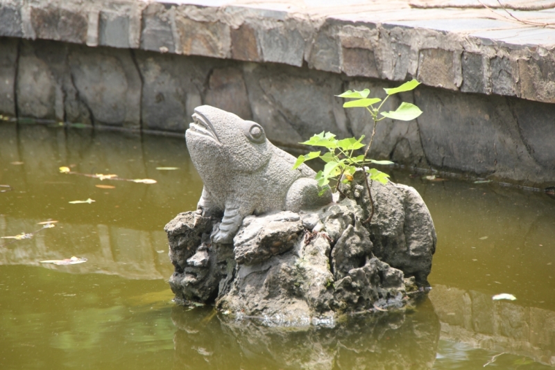 Вьетнам. Центральный и северный. Восемь четыре два